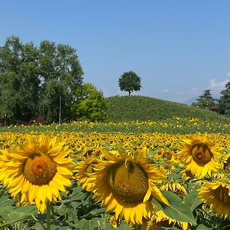 Borghetto San Biagio Relais Agriturismo Bed & Breakfast Thiene Exterior photo